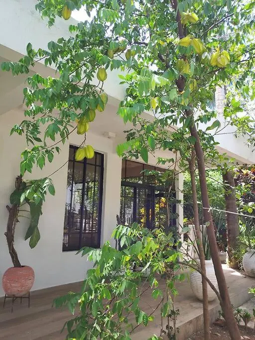 הוילה פוארטו פלטה Casa Terramar, A Pocos Paso De La Playa הרפובליקה הדומיניקנית